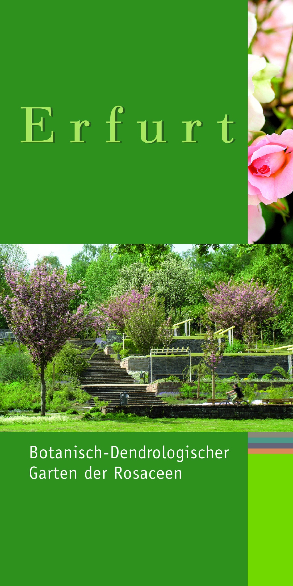 „Erfurts grüne Reihe“, Botanisch-Dendrologischer Garten der Rosaceen, Figure: Dr. Rüdiger Kirsten, Garten- und Friedhofsamt Erfurt
